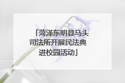 菏泽东明县马头司法所开展民法典进校园活动