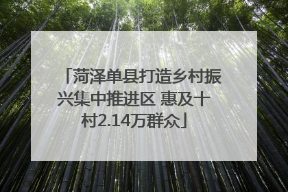 菏泽单县打造乡村振兴集中推进区 惠及十村2.14万群众