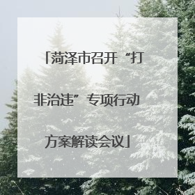 菏泽市召开“打非治违”专项行动方案解读会议
