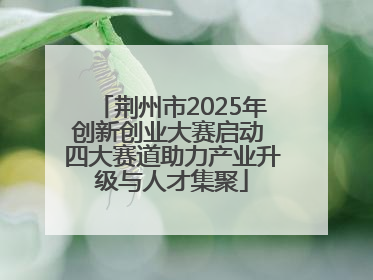 荆州市2025年创新创业大赛启动 四大赛道助力产业升级与人才集聚