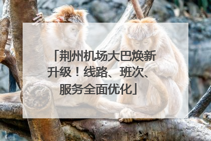 荆州机场大巴焕新升级！线路、班次、服务全面优化