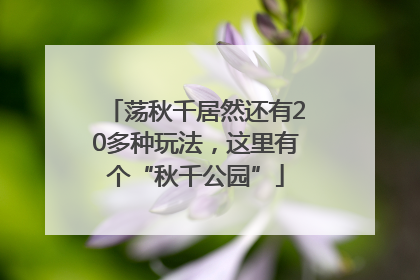 荡秋千居然还有20多种玩法，这里有个“秋千公园”
