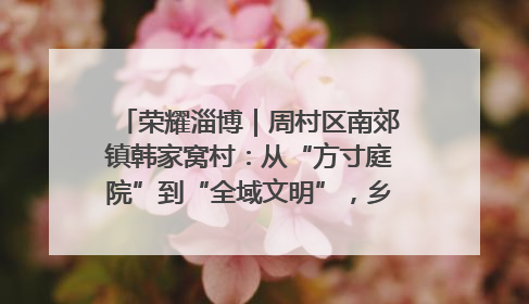 荣耀淄博｜周村区南郊镇韩家窝村：从“方寸庭院”到“全域文明”，乡村振兴的“美学革命”
