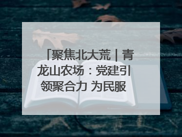 聚焦北大荒｜青龙山农场：党建引领聚合力 为民服务践初心
