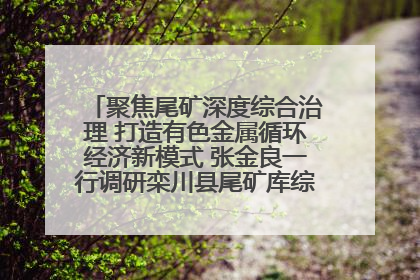 聚焦尾矿深度综合治理 打造有色金属循环经济新模式 张金良一行调研栾川县尾矿库综合治理工作