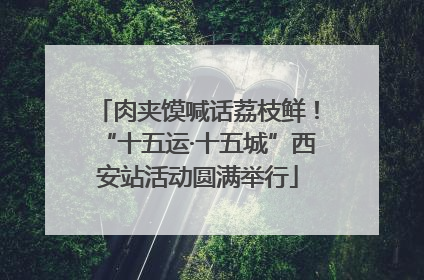 肉夹馍喊话荔枝鲜！“十五运·十五城”西安站活动圆满举行