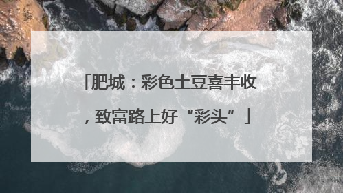 肥城：彩色土豆喜丰收，致富路上好“彩头”