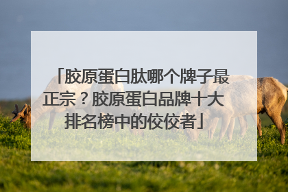 胶原蛋白肽哪个牌子最正宗？胶原蛋白品牌十大排名榜中的佼佼者