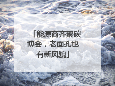 能源商齐聚碳博会，老面孔也有新风貌