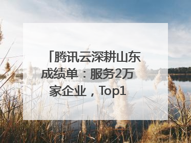 腾讯云深耕山东成绩单：服务2万家企业，Top10千亿企业8家选择腾讯云