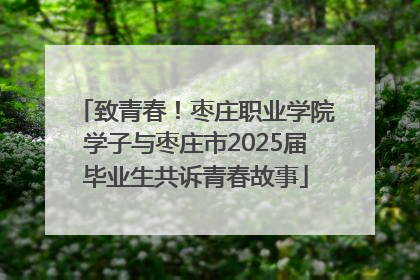 致青春！枣庄职业学院学子与枣庄市2025届毕业生共诉青春故事