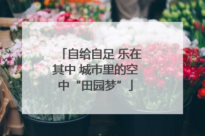 自给自足 乐在其中 城市里的空中“田园梦”
