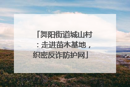 舞阳街道城山村：走进苗木基地，织密反诈防护网