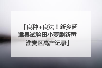 良种+良法！新乡延津县试验田小麦刷新黄淮麦区高产记录