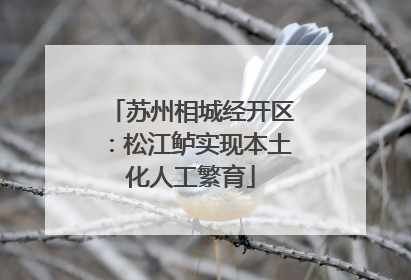苏州相城经开区：松江鲈实现本土化人工繁育