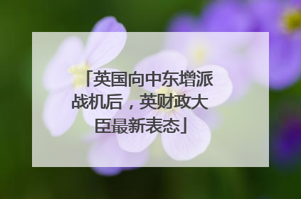 英国向中东增派战机后，英财政大臣最新表态