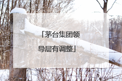 茅台集团领导层有调整