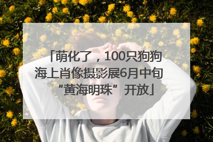 萌化了，100只狗狗海上肖像摄影展6月中旬“黄海明珠”开放