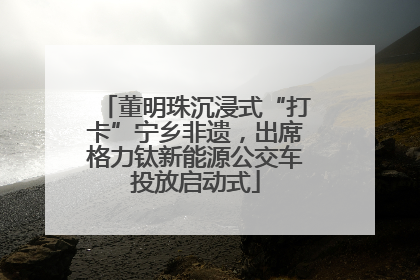 董明珠沉浸式“打卡”宁乡非遗，出席格力钛新能源公交车投放启动式