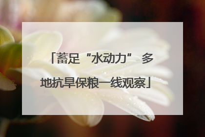 蓄足“水动力” 多地抗旱保粮一线观察