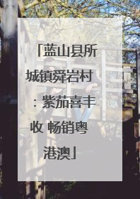 蓝山县所城镇舜岩村：紫茄喜丰收 畅销粤港澳
