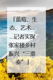 蓝莓、生态、艺术……记者实探张家楼乡村振兴“三重奏”