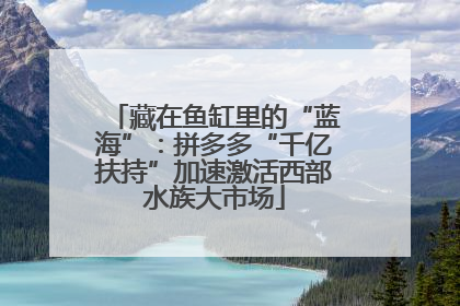 藏在鱼缸里的“蓝海”：拼多多“千亿扶持”加速激活西部水族大市场