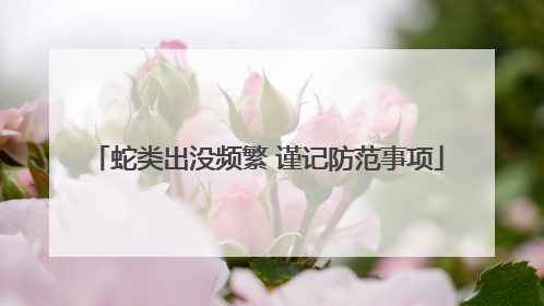 蛇类出没频繁 谨记防范事项