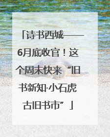 诗书西城——6月底收官！这个周末快来“旧书新知·小石虎古旧书市”