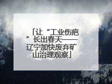 让“工业伤疤”长出春天——辽宁加快废弃矿山治理观察