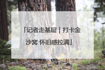 记者走基层｜打卡金沙窝 怀旧感拉满