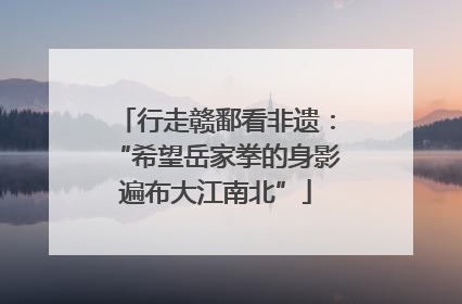 行走赣鄱看非遗：“希望岳家拳的身影遍布大江南北”
