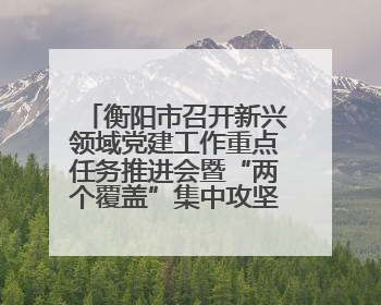衡阳市召开新兴领域党建工作重点任务推进会暨“两个覆盖”集中攻坚工作专班 第一次会议