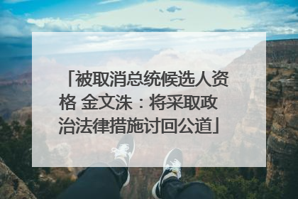 被取消总统候选人资格 金文洙：将采取政治法律措施讨回公道