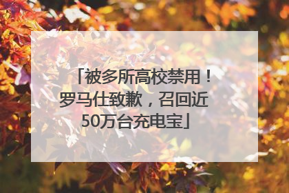 被多所高校禁用！罗马仕致歉，召回近50万台充电宝