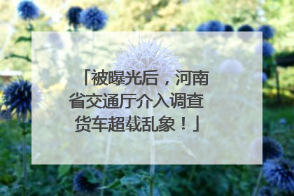 被曝光后，河南省交通厅介入调查货车超载乱象！