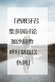 西班牙召集多国讨论加沙局势 呼吁制裁以色列