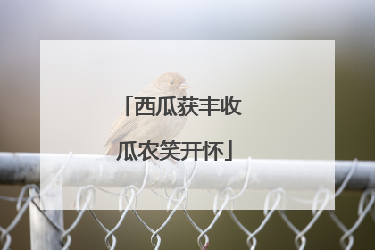 西瓜获丰收 瓜农笑开怀
