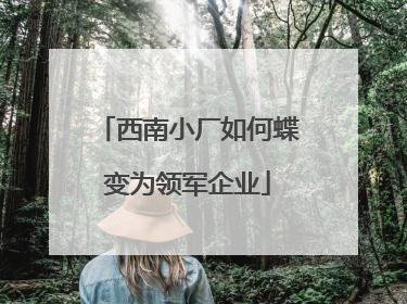 西南小厂如何蝶变为领军企业