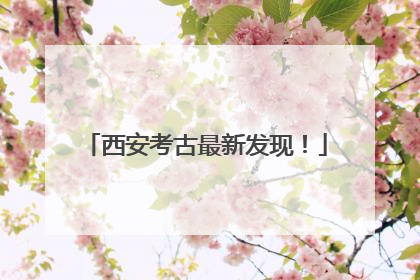 西安考古最新发现！