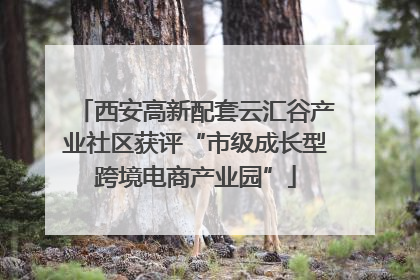 西安高新配套云汇谷产业社区获评“市级成长型跨境电商产业园”