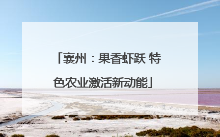 襄州：果香虾跃 特色农业激活新动能