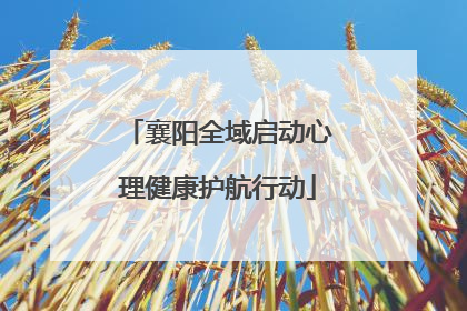 襄阳全域启动心理健康护航行动