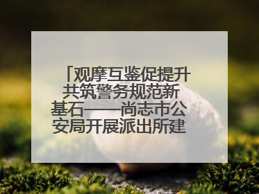 观摩互鉴促提升 共筑警务规范新基石——尚志市公安局开展派出所建设拉动观摩活动