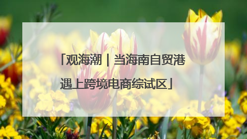 观海潮｜当海南自贸港遇上跨境电商综试区