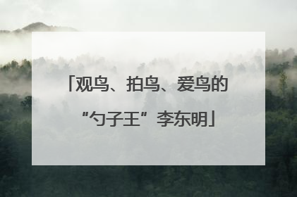 观鸟、拍鸟、爱鸟的“勺子王”李东明