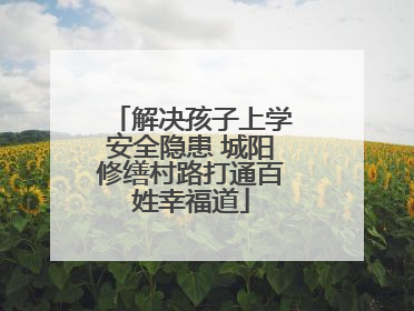 解决孩子上学安全隐患 城阳修缮村路打通百姓幸福道