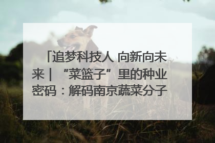 追梦科技人 向新向未来｜“菜篮子”里的种业密码：解码南京蔬菜分子育种的创新之路