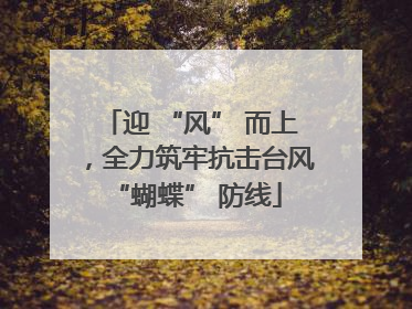 迎 “风” 而上，全力筑牢抗击台风 “蝴蝶” 防线