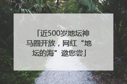 近500岁地坛神马圈开放，网红“地坛的海”邀您尝